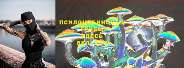 прущие грибы Нижний Тагил